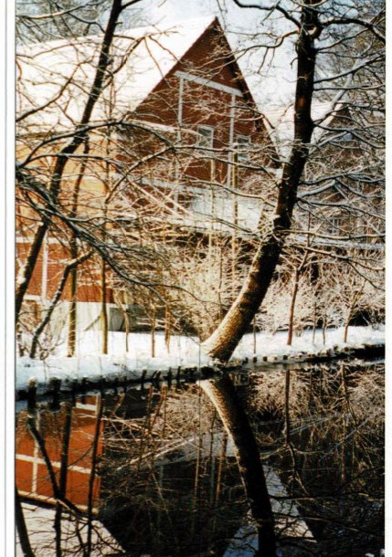 Die Wassermühle Strothmann im winterlichen Kleid
