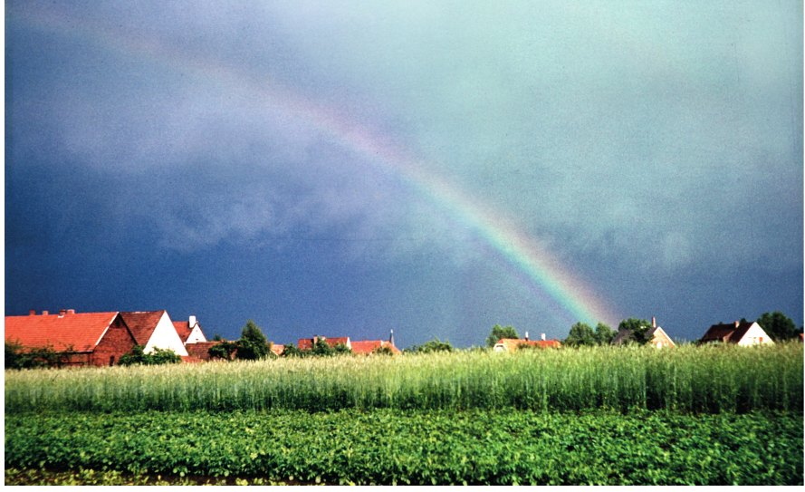 Wogendes Roggenfeld mit Regenbogen, vom Garten der Familie aufgenommen