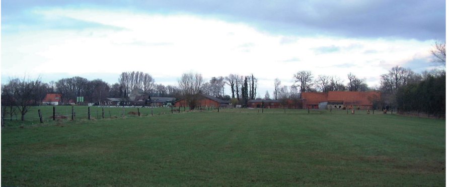Blick von der Gärtnerei Krull auf das geplante Baugebiet