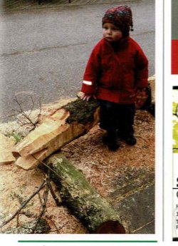 Der kleine Tjark auf einem mit der Motorsäge geformten Krokodil