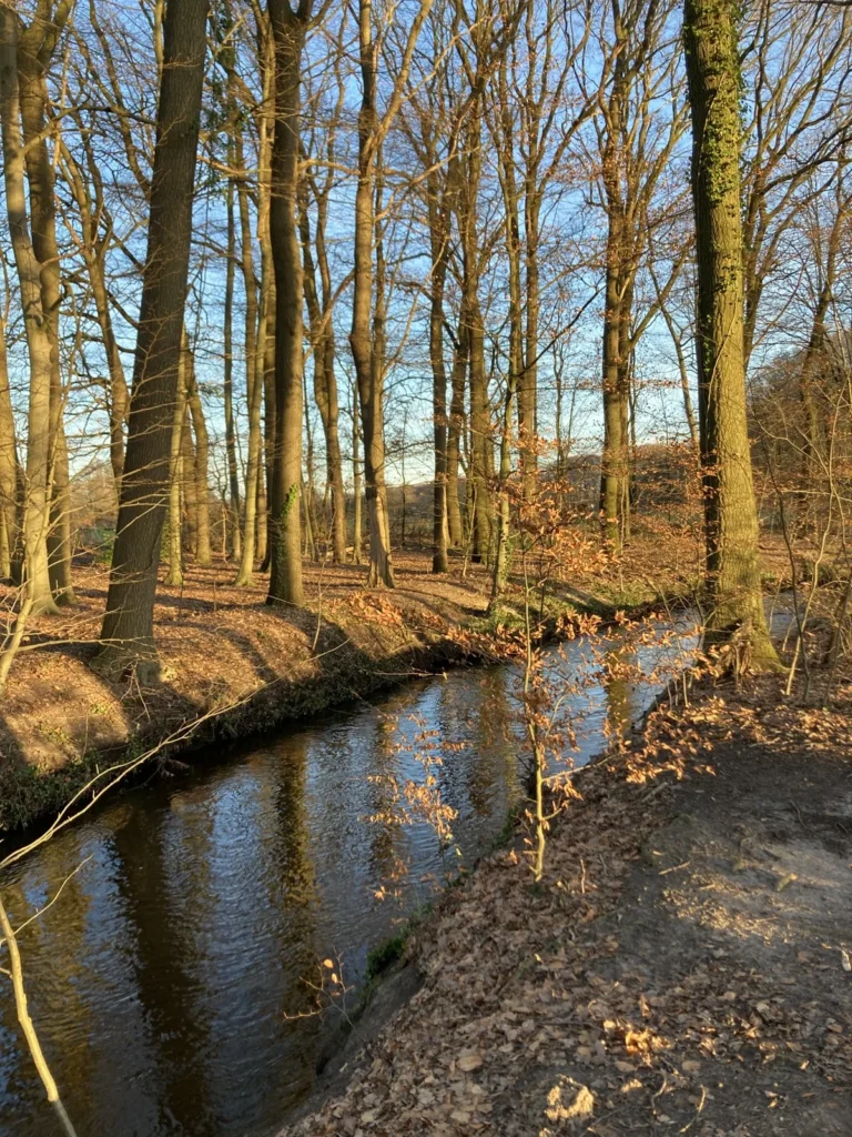 Die Lutter